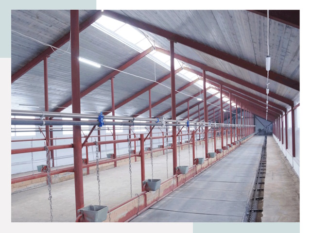 Строительство коровников в Орле от 607 руб.