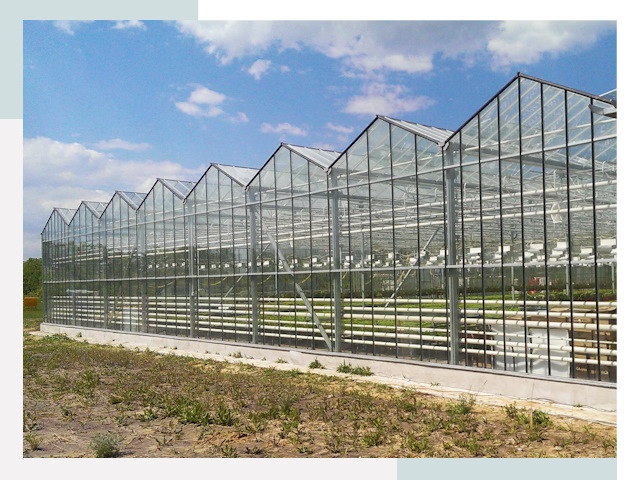 Строительство теплиц в Орел от 607 руб. за м²